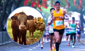Tặng gia súc, gia cầm cho runner về đích ở giải Trung Quốc Tặng gia súc, gia cầm cho runner về đích ở giải Trung Quốc
